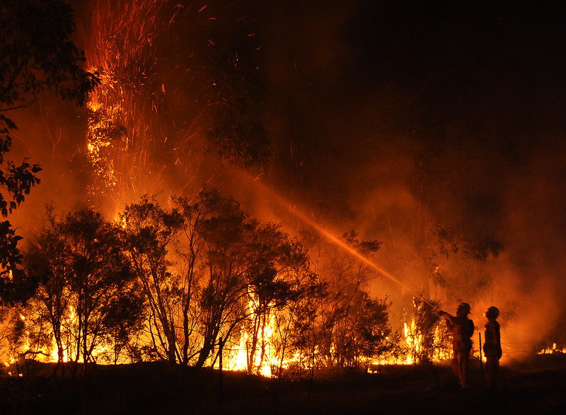 Firefighters tackling bushfire blaze in Cessnock, New South Wales, Australia in 2013